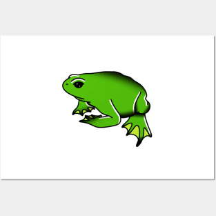 Frog Posters and Art